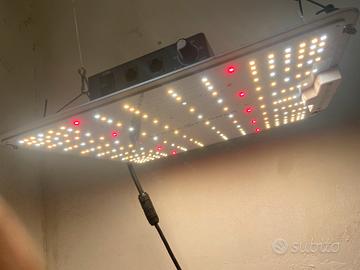 Lampada per acquario