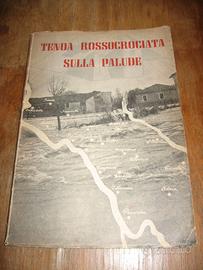 TENDA ROSSOCROCIATA SULLA PALUDE CROCE ROSSA ROVIG