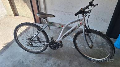 Bicicletta da ragazzi