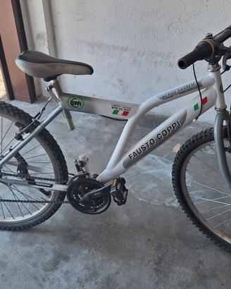 Bicicletta da ragazzi