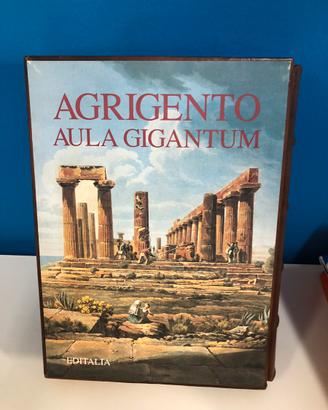 AGRIGENTO AULA GIGANTUM di G.Burgio/S.Lucido