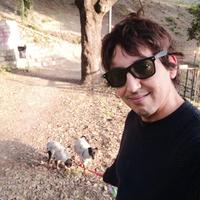 Badante, Domenico,custode, autista,giardiniere