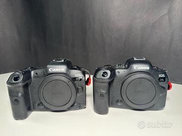 Canon R5 e R6