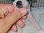 Immagine 3