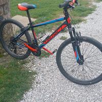 Mountain bike bambino/ragazzo