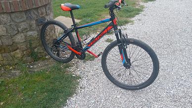 Mountain bike bambino/ragazzo