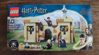 LEGO® Harry Potter™ 76395 Prima lezione di volo
