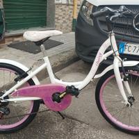 Due biciclette 20