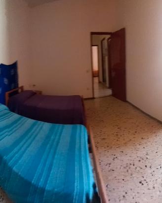 Stanze a studenti Licusati (Camerota) 25