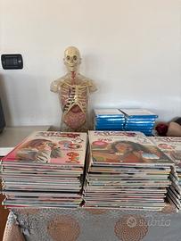 Libri e scheletro del corpo umano