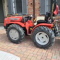 A. CARRARO TIGRE 3100