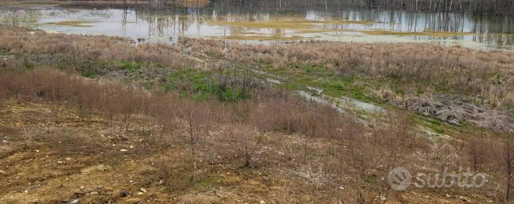 Immobile in asta di 101315 m² a Santena - Vista 2