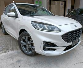 Ford Kuga 2.0 EcoBlue Hybrid 150 CV 2WD ST-Line