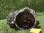 Immagine 26