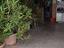 Immagine 19