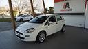 fiat-punto-1-2-8v-5-porte-young