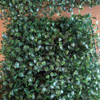 Pannelli erba Milano 25×25 5pz