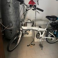 bici pedalata assistita 