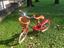 Immagine 1