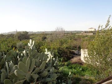 Villa in costruzione + box e giardino
