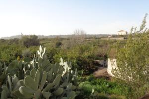 Villa in costruzione + box e giardino