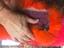 Immagine 2