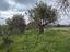 Immagine 28