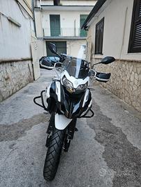 Benelli TRK 502