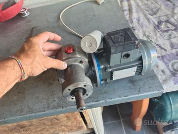 motore elettrico con riduttore angolare 