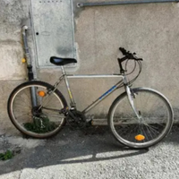 MTB viner
