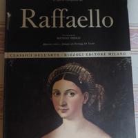 michelangelo pittore e raffaello
