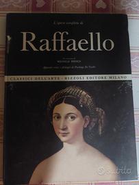 michelangelo pittore e raffaello