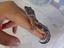 Immagine 1