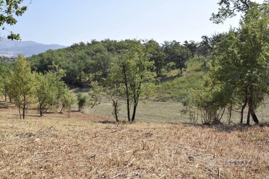 Terreno di 12000 m² a Spigno Saturnia - Vista 6