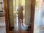 Immagine 1