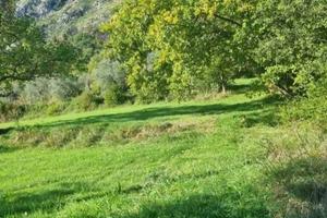 Villa di 86 m² con 1 locale a Ausonia