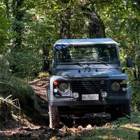 LAND ROVER Defender - 1989