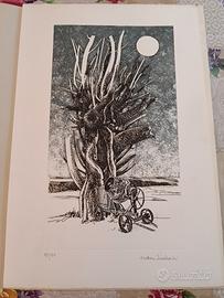 grafica Nani Tedeschi edizione limitata 