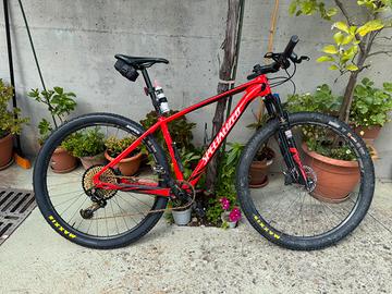 Specialized stumpjumper