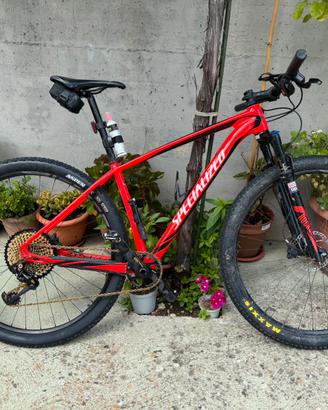 Specialized stumpjumper