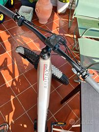 bike elettrica
