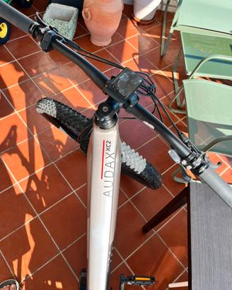 bike elettrica