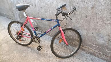 bicicletta