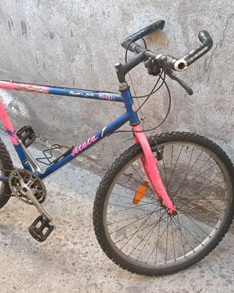 bicicletta