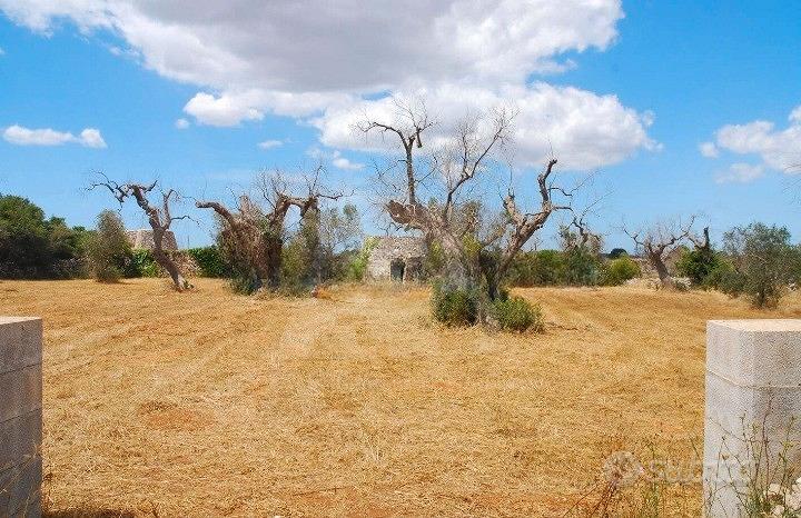 Terreno Agricolo 2.500 mq con pajara a Specchia (L - Vista 2