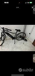 bicicletta elettrica