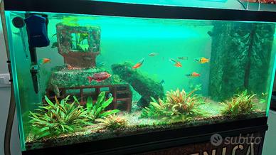 ACQUARIO COMPLETO “ACQUASCENICA” – 327L - MATURO