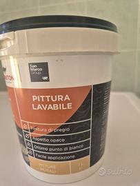 Vernice pittura bianca bianca San Marco 1L