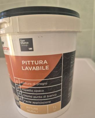 Vernice pittura bianca bianca San Marco 1L