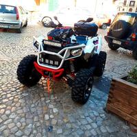 Altro Altro modello - 2015